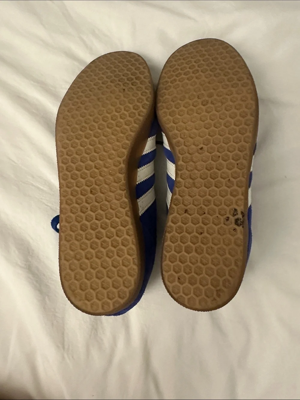adidas gazelle in royal blue suede